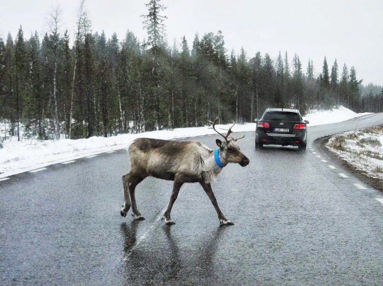 Что нужно знать для поездки на машине в Финляндию