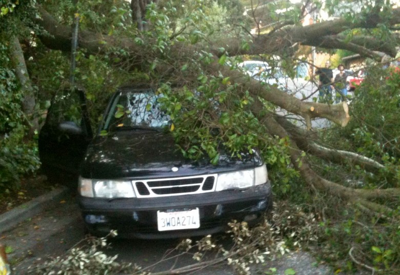 В Госдуму планируют внести закон о страховании автомобилей от падения деревьев и сосулек